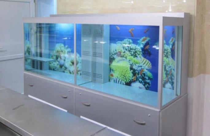Можна з упевненістю сказати, що торговий акваріум, вироблений «ТРЕЙД АКВА СИСТЕМС» стане ще одним кроком у реалізації даного завдання, так як забезпечить покупців супермаркету «АРСЕН» свіжої живої рибною продукцією